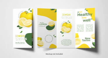 Brochures